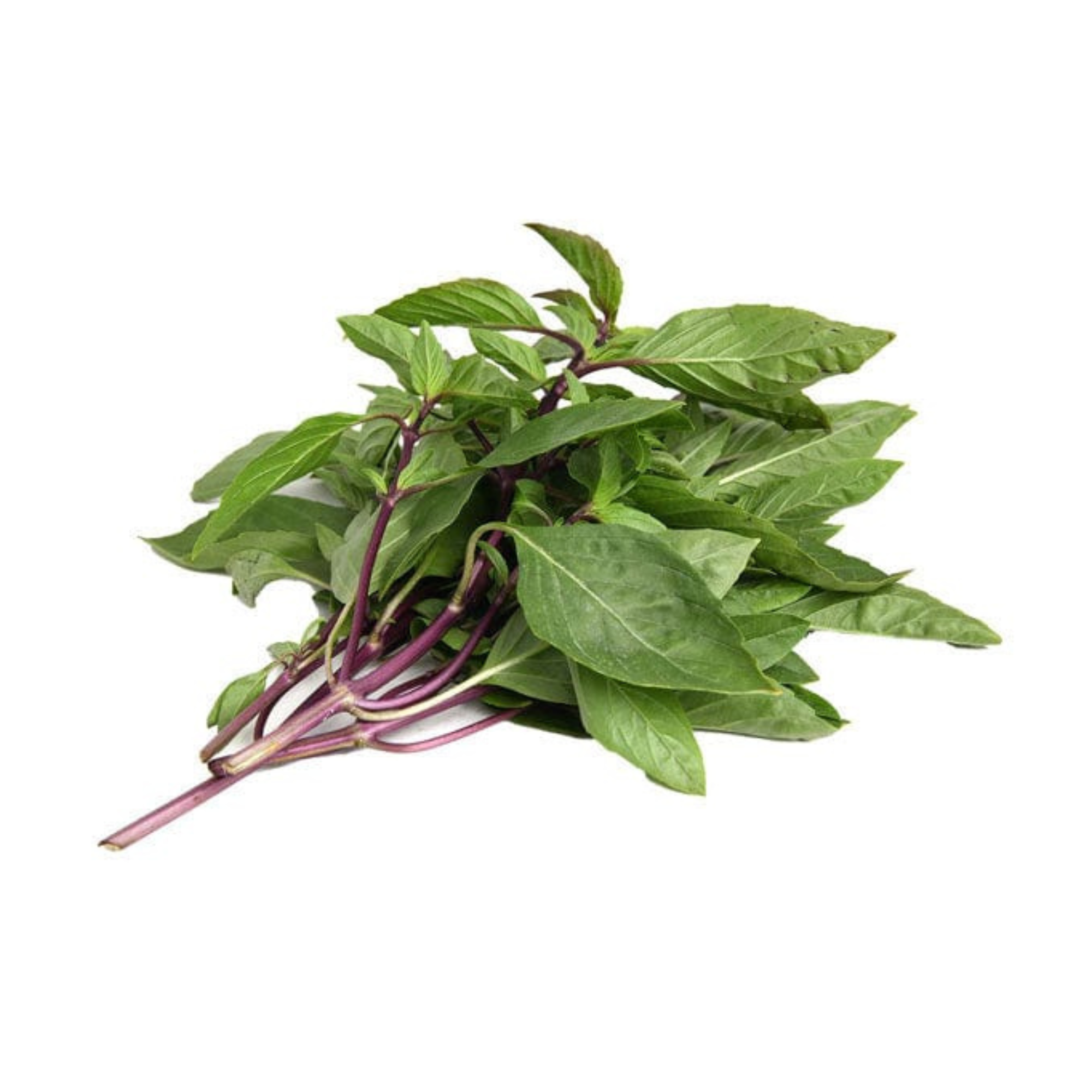 Thai Basil Fresh  100g