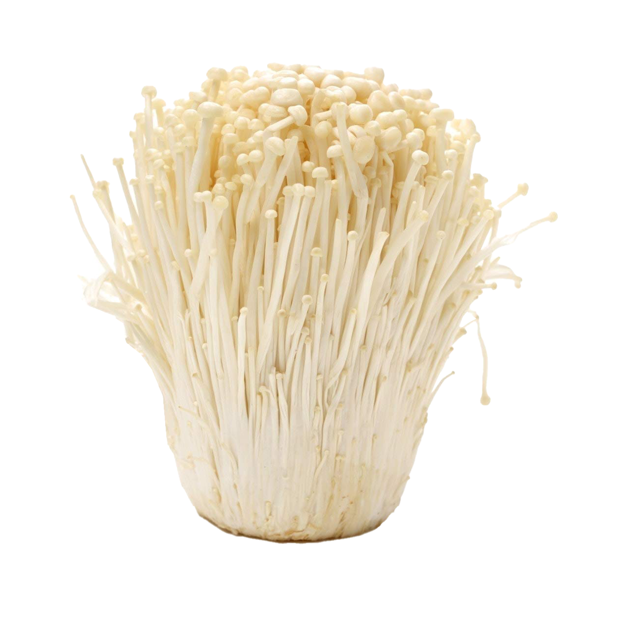 Fresh Mushroom Enoki 100g