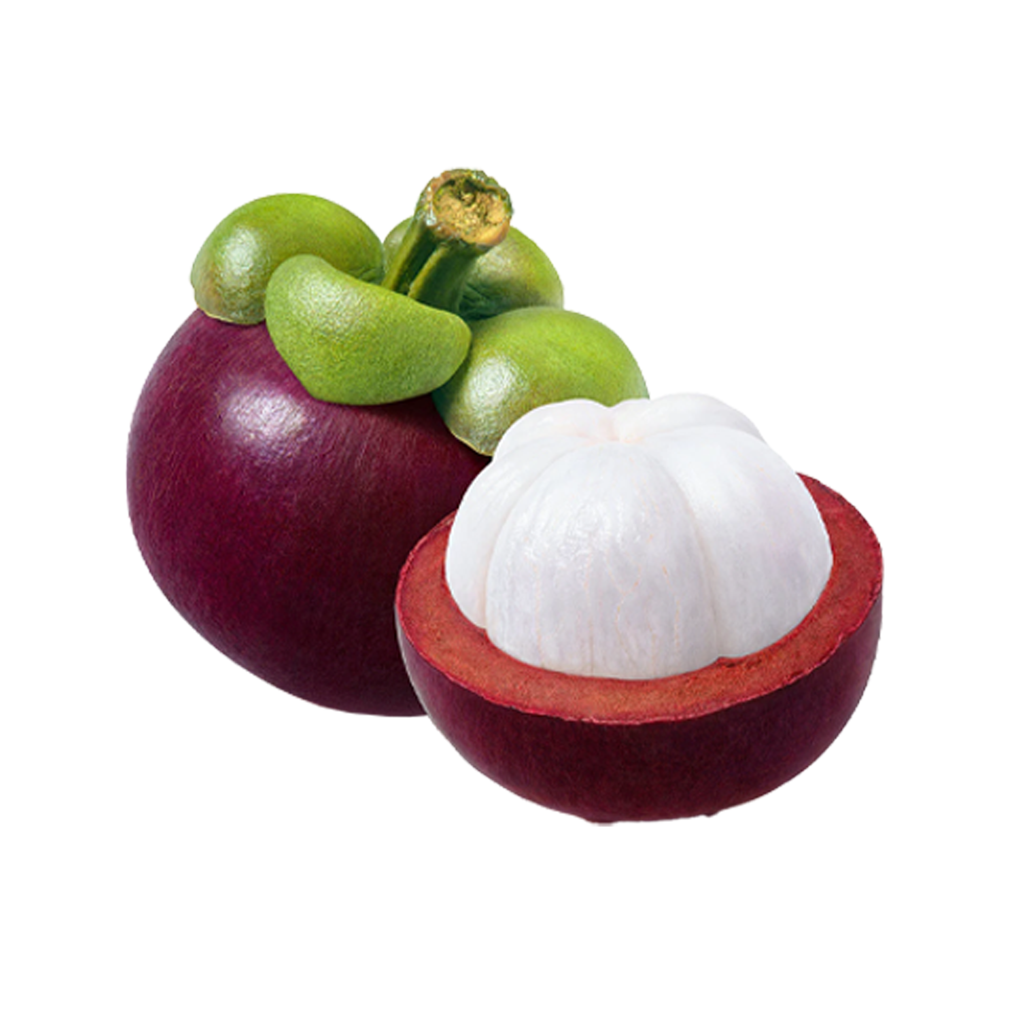 Fresh Mangosteen 500GR