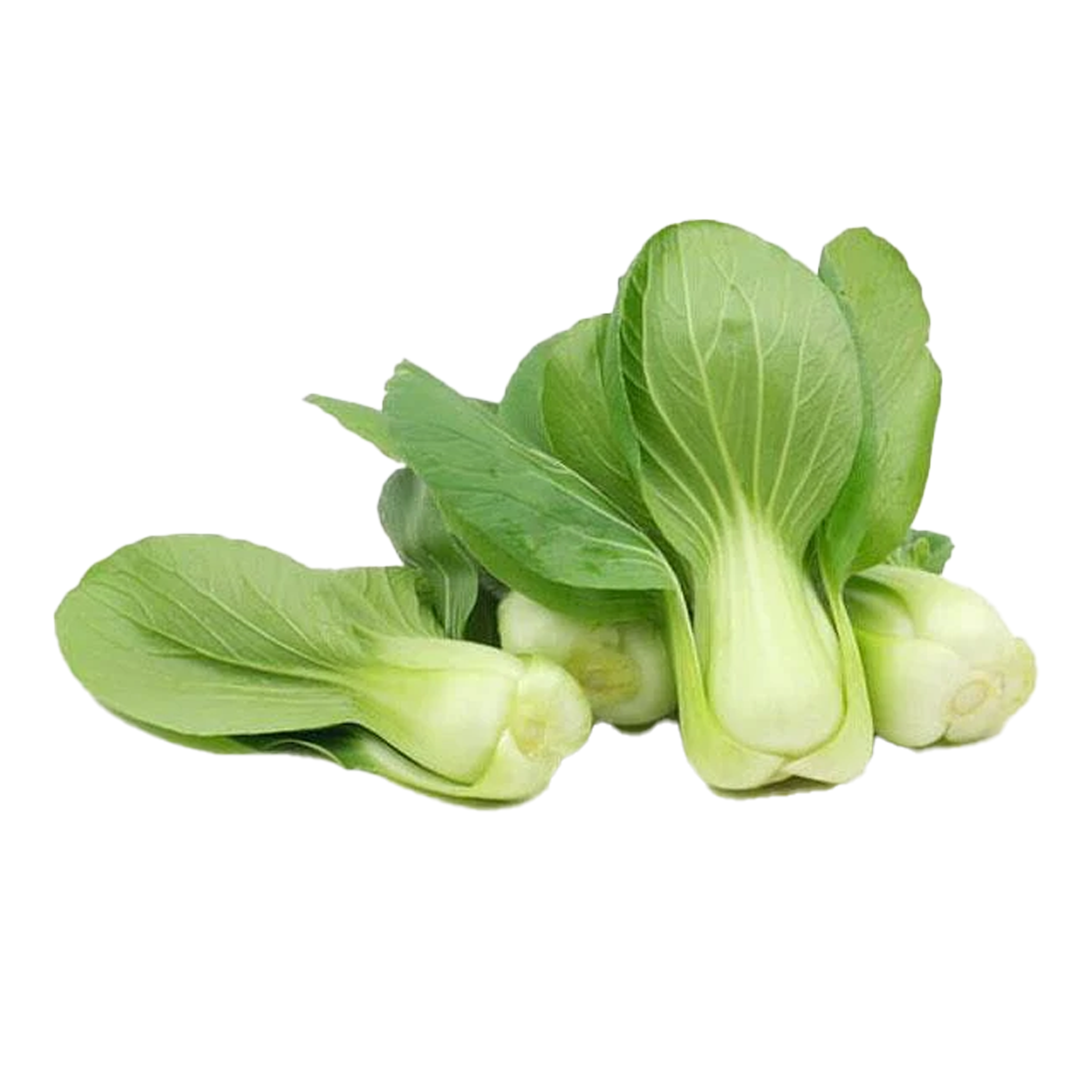 Fresh Pak Choy 1kg