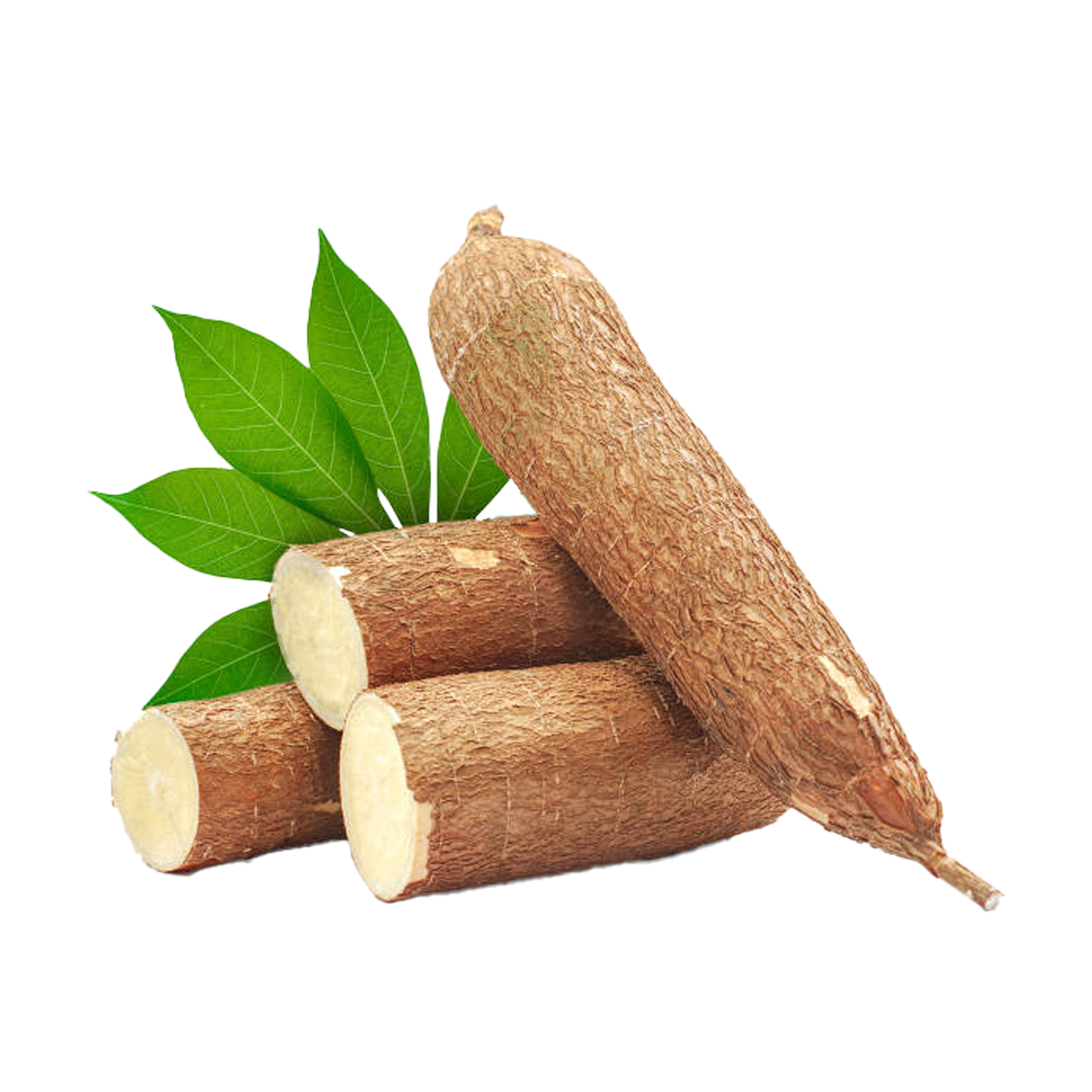 Cassava 1PC